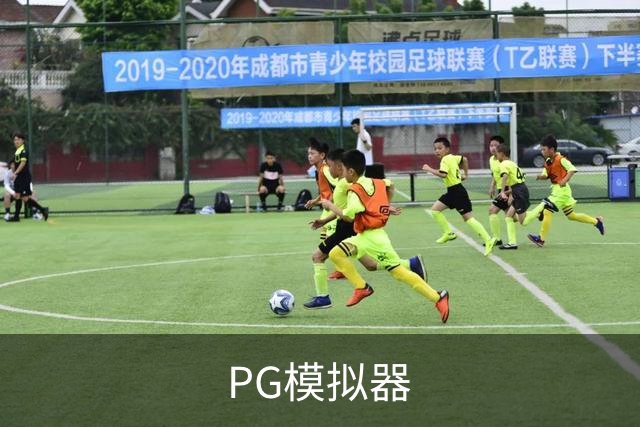 关于PG模拟器
